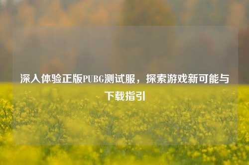 深入体验正版PUBG测试服，探索游戏新可能与下载指引