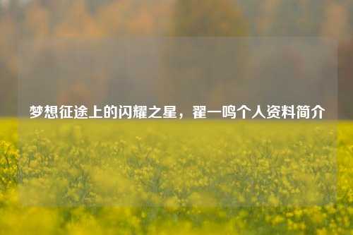 梦想征途上的闪耀之星,翟一鸣个人资料简介