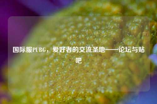 国际服PUBG,爱好者的交流圣地——论坛与贴吧