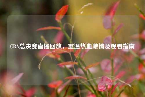 CBA总决赛直播回放，重温热血激情及观看指南
