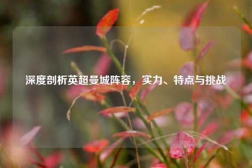 深度剖析英超曼城阵容,实力、特点与挑战