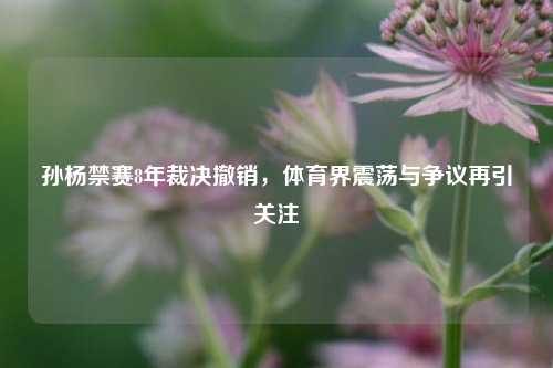 孙杨禁赛8年裁决撤销,体育界震荡与争议再引关注