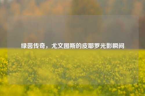 绿茵传奇，尤文图斯的皮耶罗光影瞬间