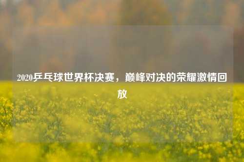 2020乒乓球世界杯决赛,巅峰对决的荣耀激情回放