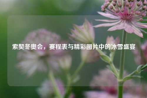 索契冬奥会，赛程表与精彩图片中的冰雪盛宴