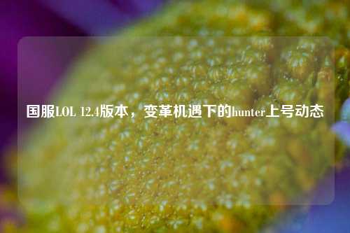国服LOL 12.4版本,变革机遇下的hunter上号动态