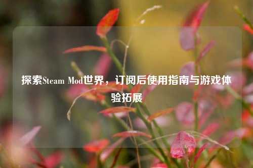 探索Steam Mod世界,订阅后使用指南与游戏体验拓展
