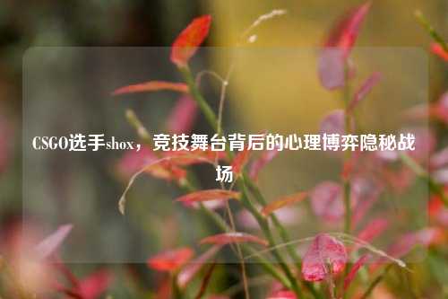 CSGO选手shox,竞技舞台背后的心理博弈隐秘战场