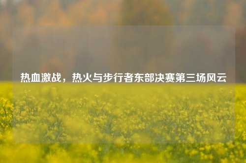 热血激战，热火与步行者东部决赛第三场风云