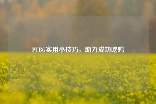 PUBG实用小技巧，助力成功吃鸡