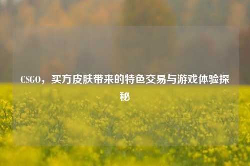 CSGO，买方皮肤带来的特色交易与游戏体验探秘