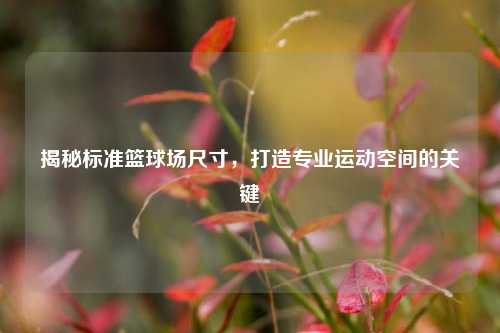揭秘标准篮球场尺寸,打造专业运动空间的关键