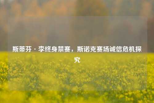 斯蒂芬·李终身禁赛,斯诺克赛场诚信危机探究