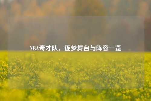 NBA奇才队,逐梦舞台与阵容一览