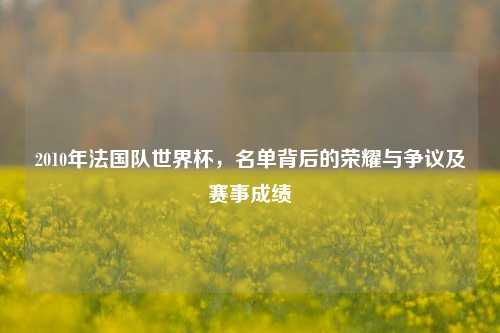 2010年法国队世界杯，名单背后的荣耀与争议及赛事成绩