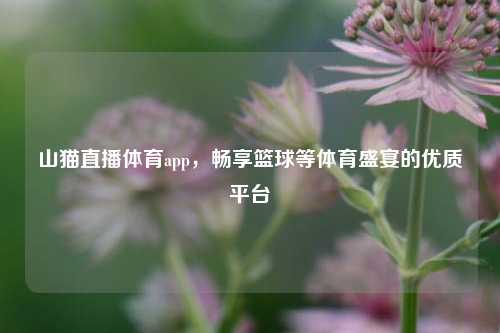 山猫直播体育app,畅享篮球等体育盛宴的优质平台