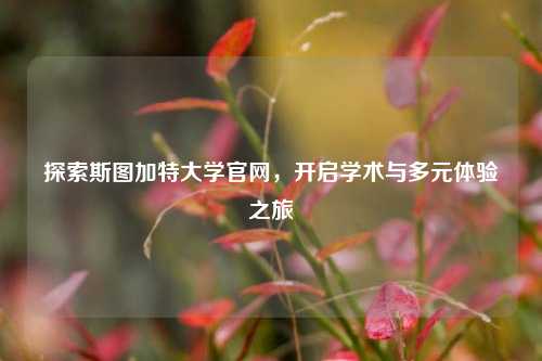探索斯图加特大学官网,开启学术与多元体验之旅