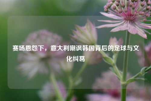 赛场恩怨下,意大利嘲讽韩国背后的足球与文化纠葛