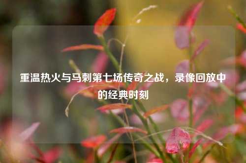 重温热火与马刺第七场传奇之战,录像回放中的经典时刻