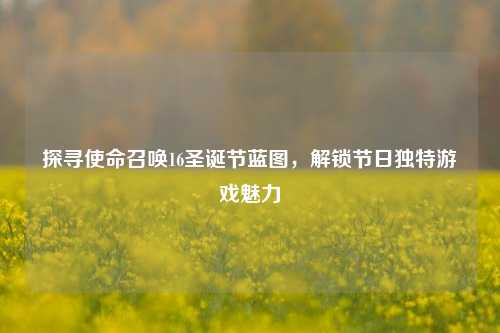 探寻使命召唤16圣诞节蓝图,解锁节日独特游戏魅力