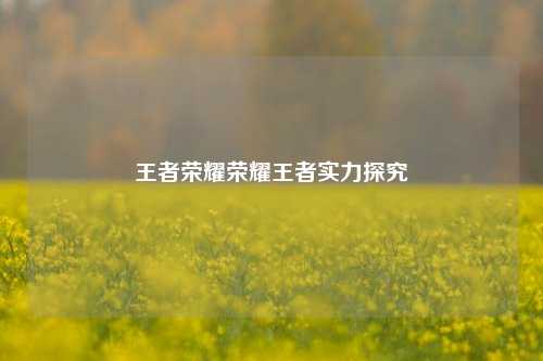 王者荣耀荣耀王者实力探究