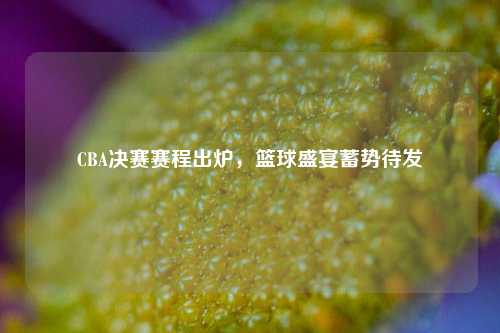 CBA决赛赛程出炉，篮球盛宴蓄势待发