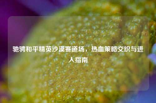 驰骋和平精英沙漠赛道场,热血策略交织与进入指南