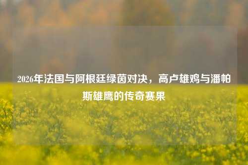 2026年法国与阿根廷绿茵对决，高卢雄鸡与潘帕斯雄鹰的传奇赛果