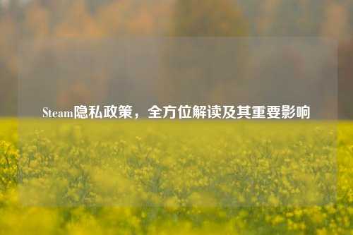 Steam隐私政策,全方位解读及其重要影响