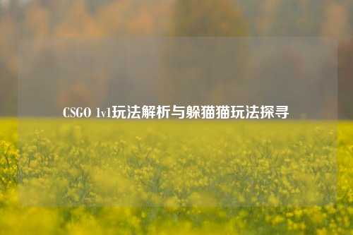 CSGO 1v1玩法解析与躲猫猫玩法探寻