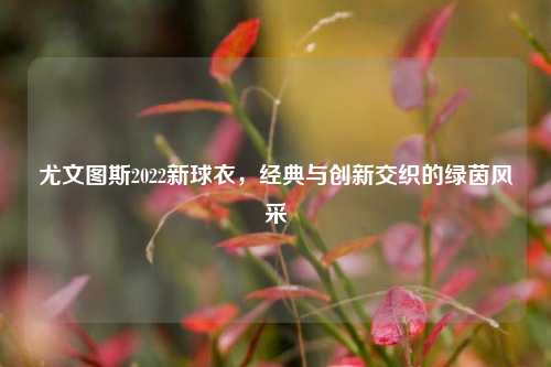 尤文图斯2022新球衣，经典与创新交织的绿茵风采