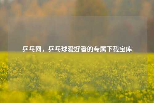 乒乓网,乒乓球爱好者的专属下载宝库