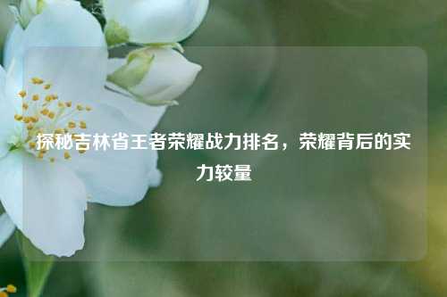 探秘吉林省王者荣耀战力排名，荣耀背后的实力较量