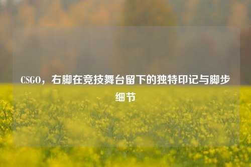 CSGO,右脚在竞技舞台留下的独特印记与脚步细节