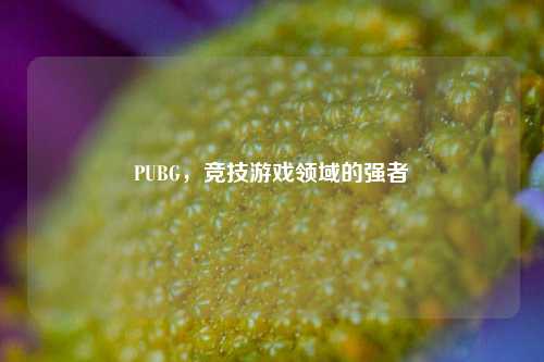 PUBG，竞技游戏领域的强者