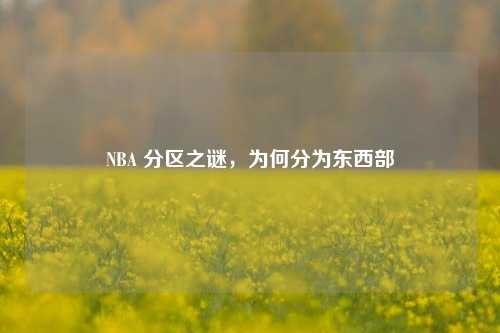 NBA 分区之谜,为何分为东西部