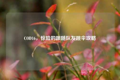 COD16，惊险的跟随队友跳伞攻略