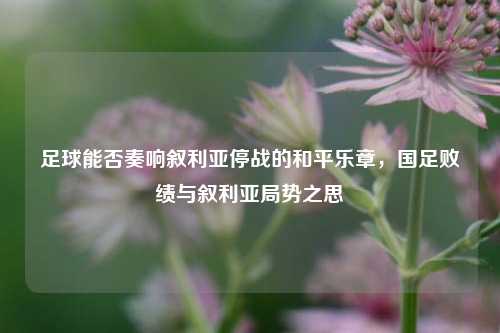足球能否奏响叙利亚停战的和平乐章,国足败绩与叙利亚局势之思