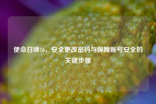 使命召唤16，安全更改密码与保障账号安全的关键步骤