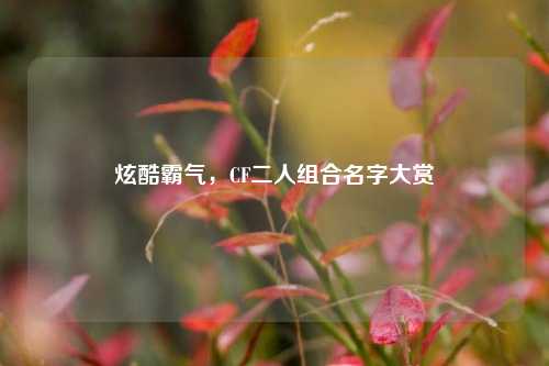炫酷霸气,CF二人组合名字大赏