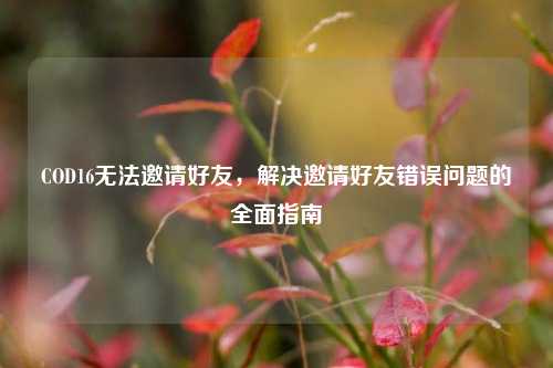 COD16无法邀请好友,解决邀请好友错误问题的全面指南