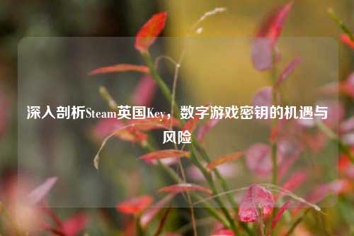 深入剖析Steam英国Key,数字游戏密钥的机遇与风险