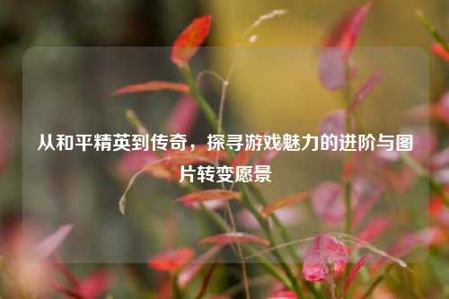 从和平精英到传奇，探寻游戏魅力的进阶与图片转变愿景