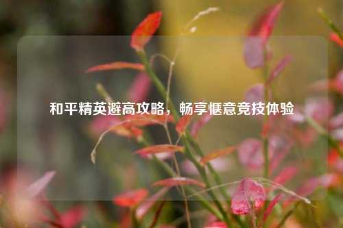 和平精英避高攻略,畅享惬意竞技体验