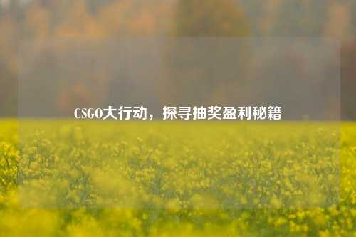 CSGO大行动,探寻抽奖盈利秘籍