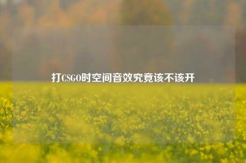 打CSGO时空间音效究竟该不该开