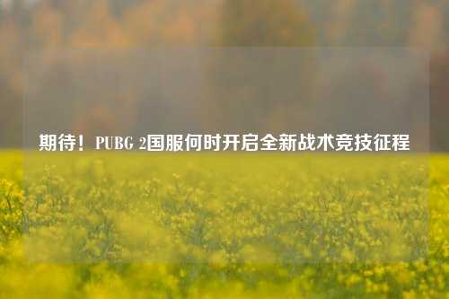 期待！PUBG 2国服何时开启全新战术竞技征程