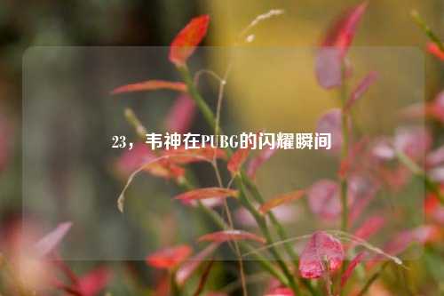 23，韦神在PUBG的闪耀瞬间