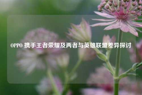 OPPO 携手王者荣耀及两者与英雄联盟差异探讨