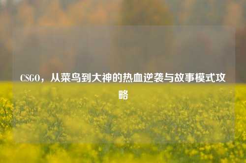 CSGO，从菜鸟到大神的热血逆袭与故事模式攻略
